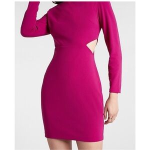 NWT Express Fuchsia Long Sleeve Dress